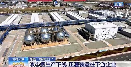 零碳工廠 新能源“就地生金”，全鏈條綠色消納體系引領未來